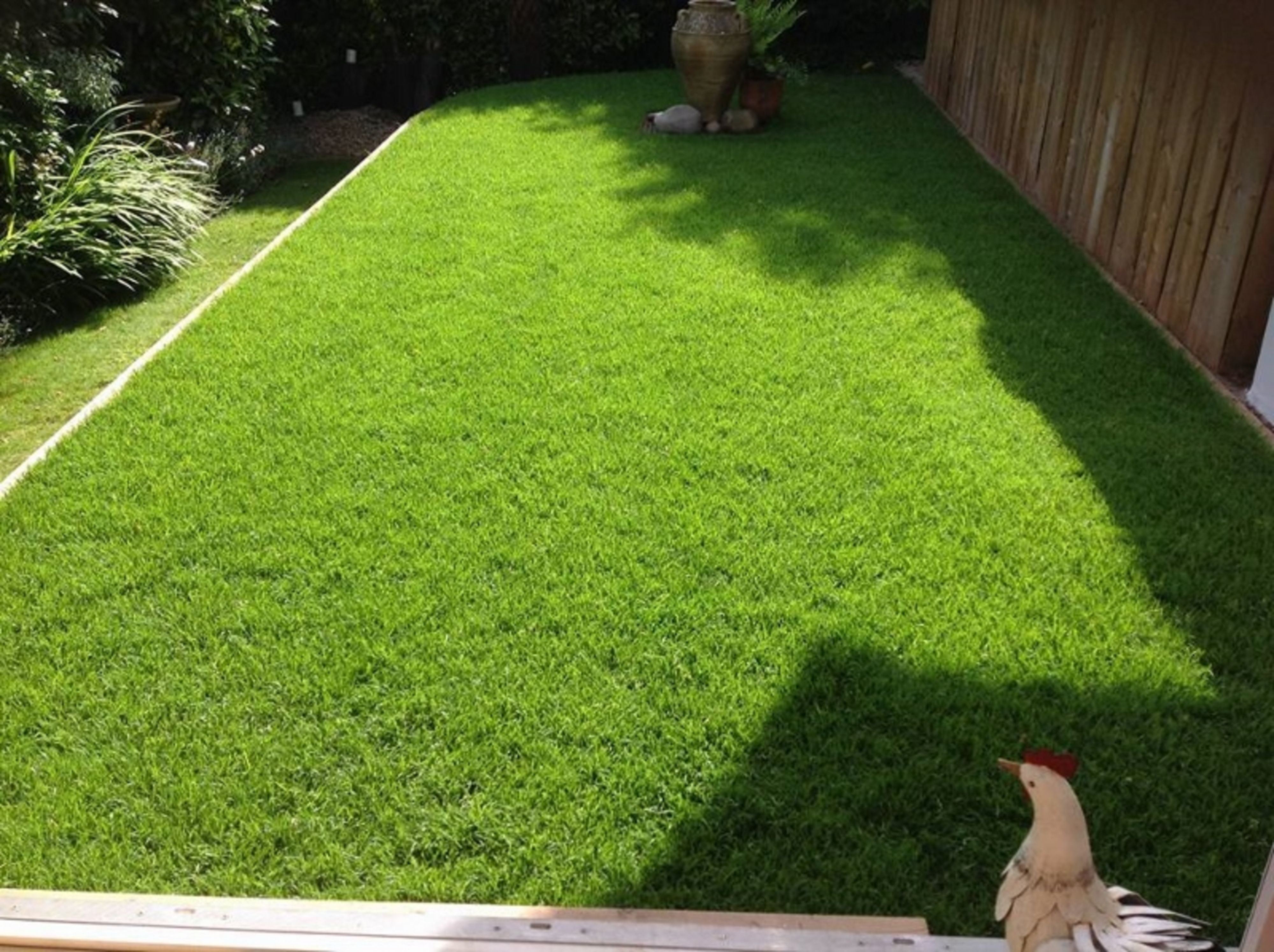 Shade-and-wear-lawn