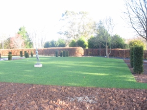 seeded-laid-lawn