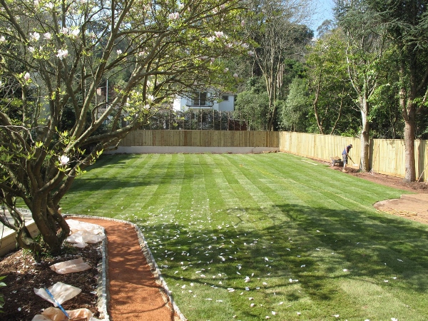 Click-on-Premium-lawn-turf