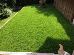 Fresh-turfs-new-dura-shade-turf