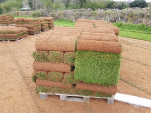 cut-in-easy-to-lay-rolls
