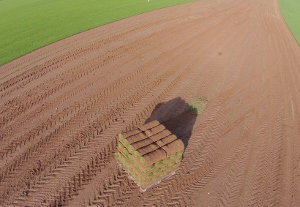 freshly-cut-pallet-of-turf
