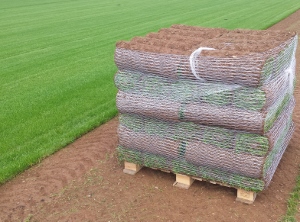 pallet-of-freshly-cut-turf