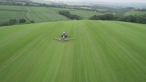 v-mows-fresh-turf